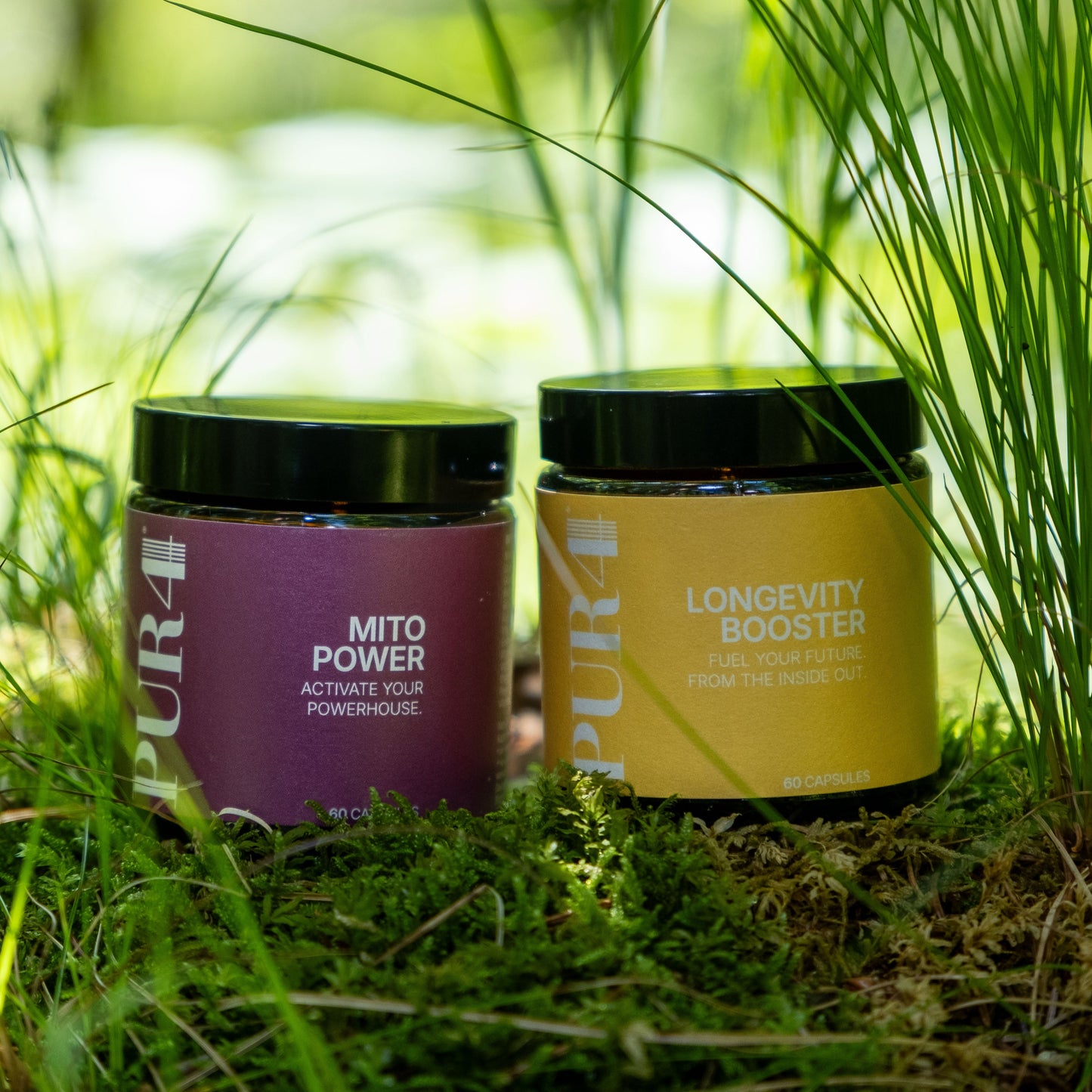 LONGEVITY BUNDLE