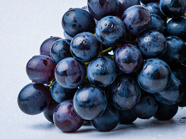 Longevity Nahrungsergänzung – diese Wirkstoffe solltest Du kennen