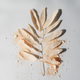 Acacia fibers icon