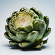 Artichoke leaves icon