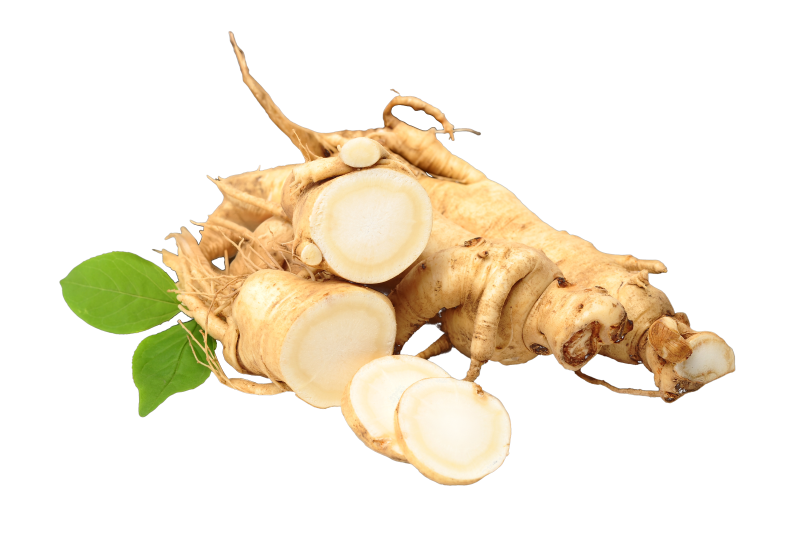 Ginseng