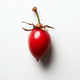 rose hip icon