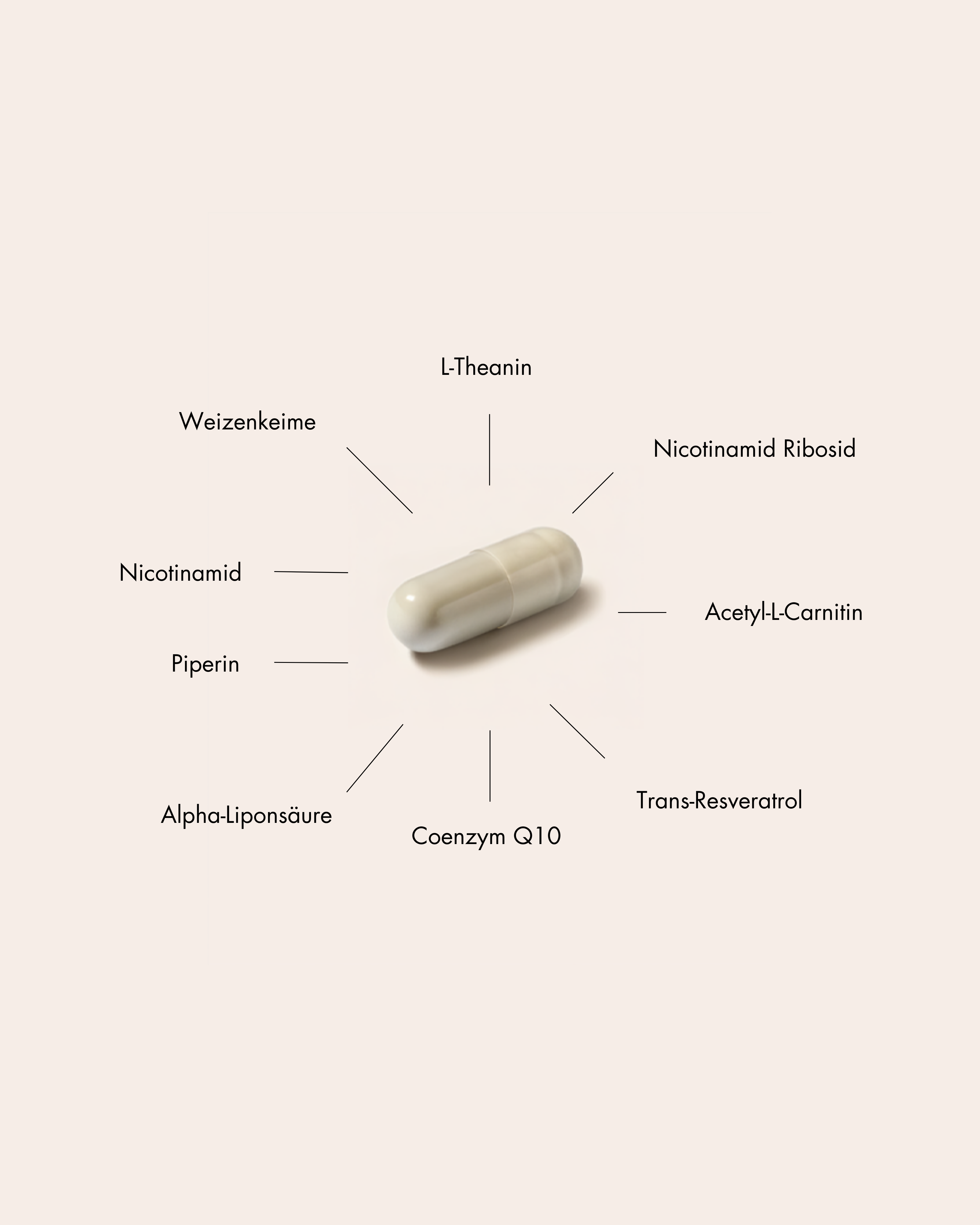 LONGEVITY BOOSTER - hover