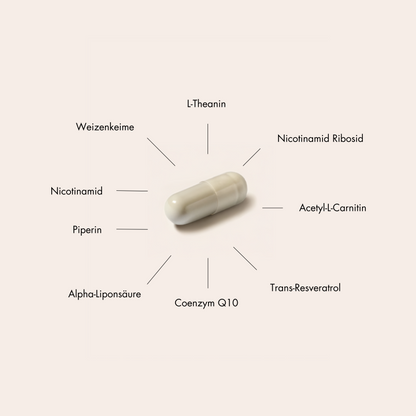 LONGEVITY BOOSTER