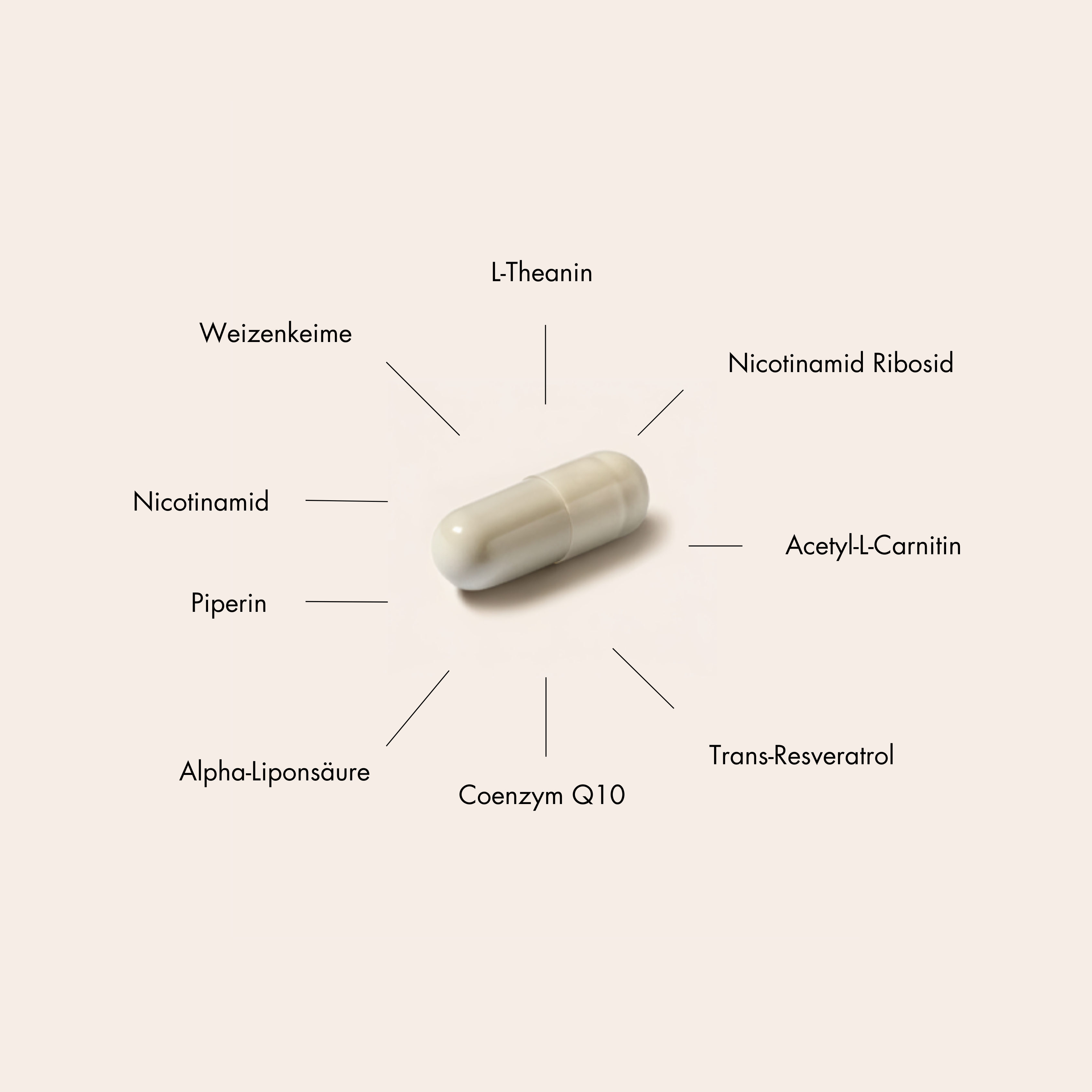 LONGEVITY BOOSTER - hover