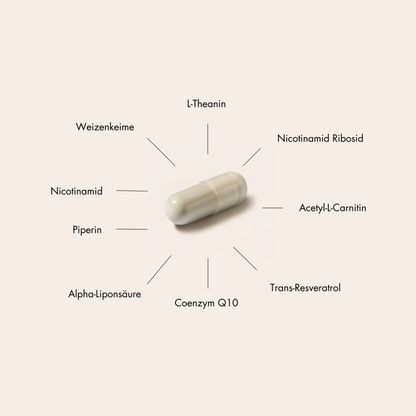 LONGEVITY BOOSTER