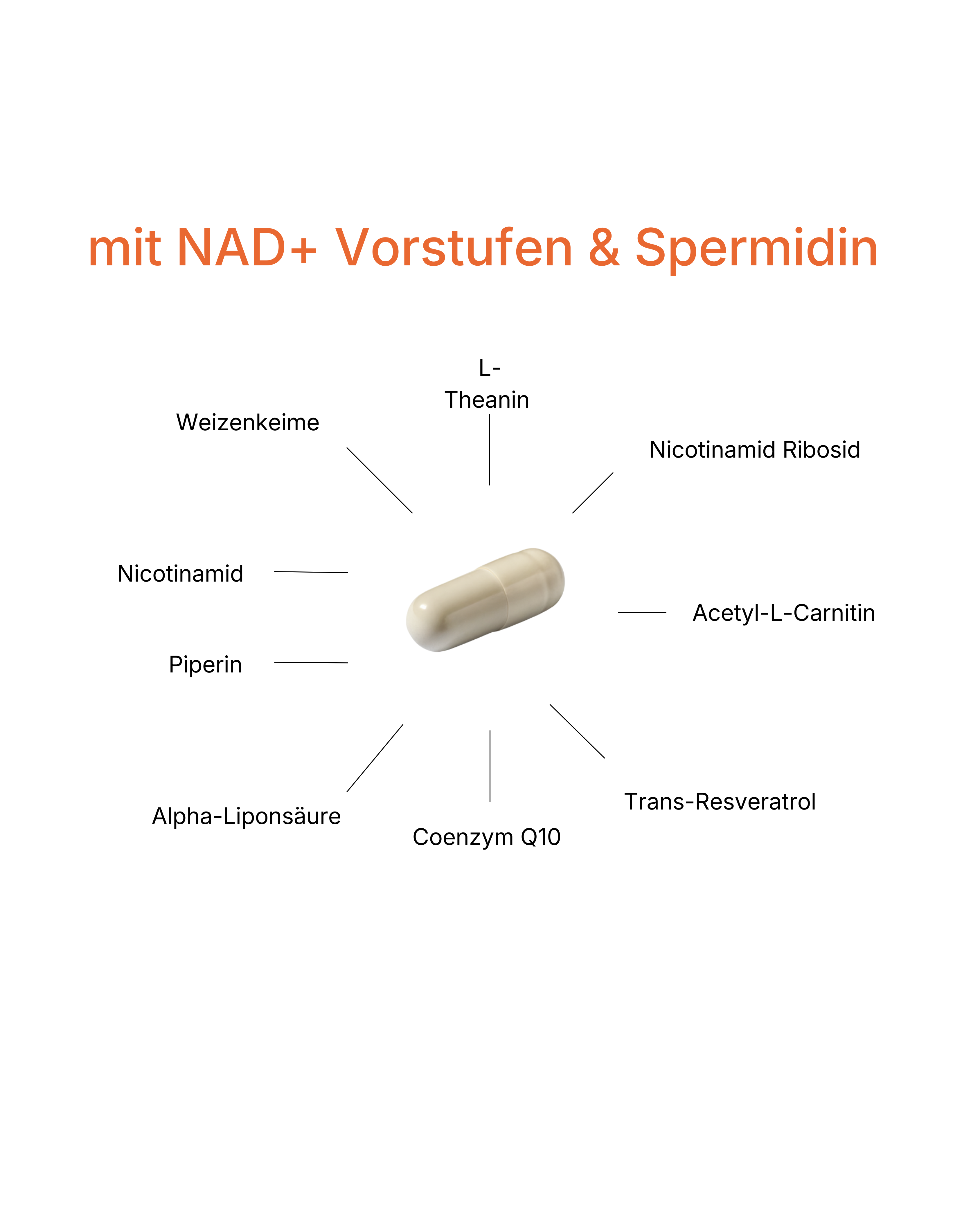 LONGEVITY BOOSTER - hover