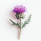Milk thistle herb icon